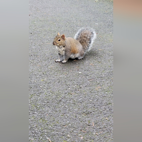 Meet your Posher, Mishelle - Picture 12 of 14